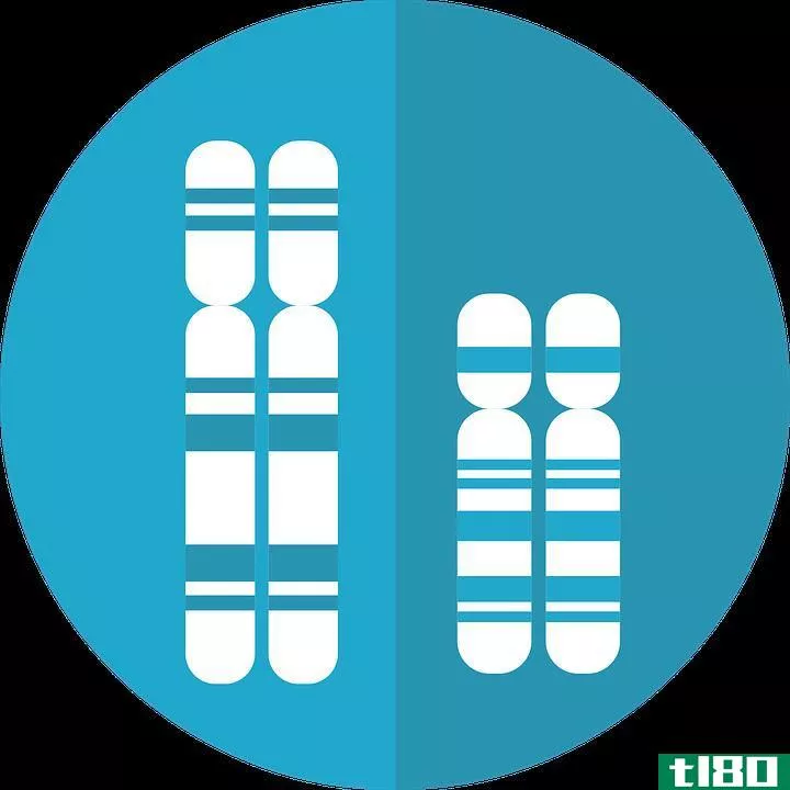 质粒(pla**id)和染色体(chromosome)的区别