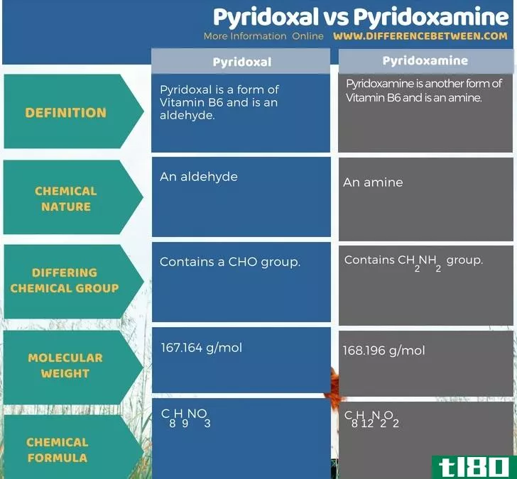 吡哆醛(pyridoxal)和吡哆胺(pyridoxamine)的区别
