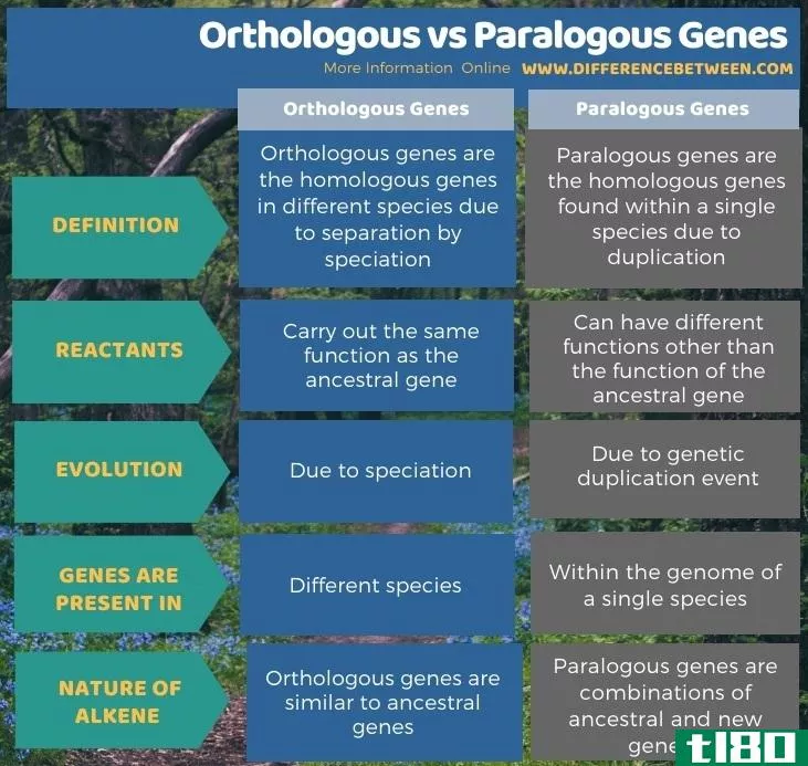 直系同源(orthologous)和旁基因(paralogous genes)的区别