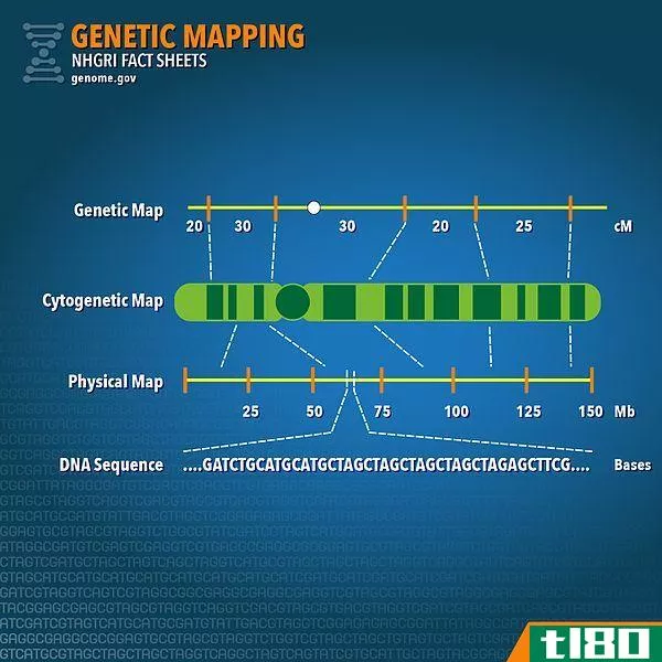 基因定位(gene mapping)和基因测序(gene sequencing)的区别
