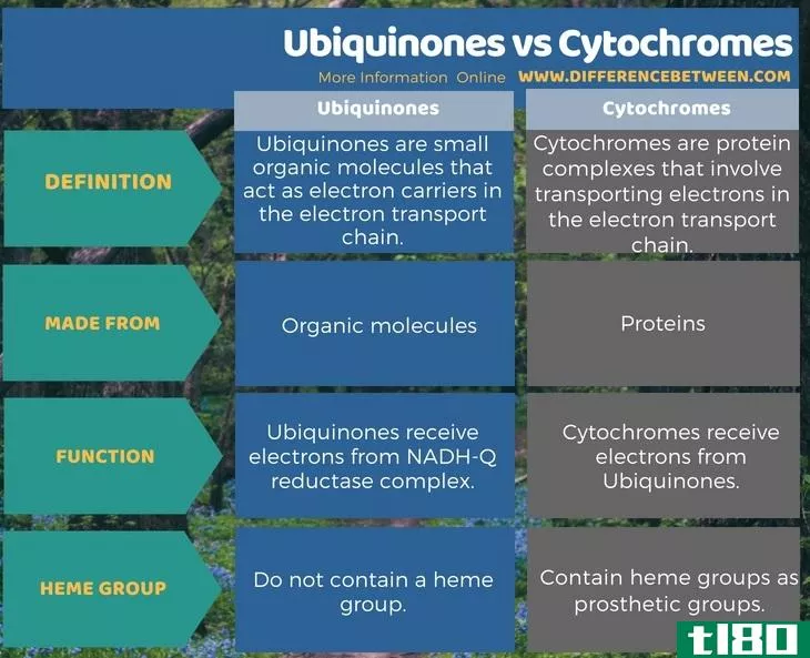 泛醌(ubiquinones)和细胞色素(cytochromes)的区别