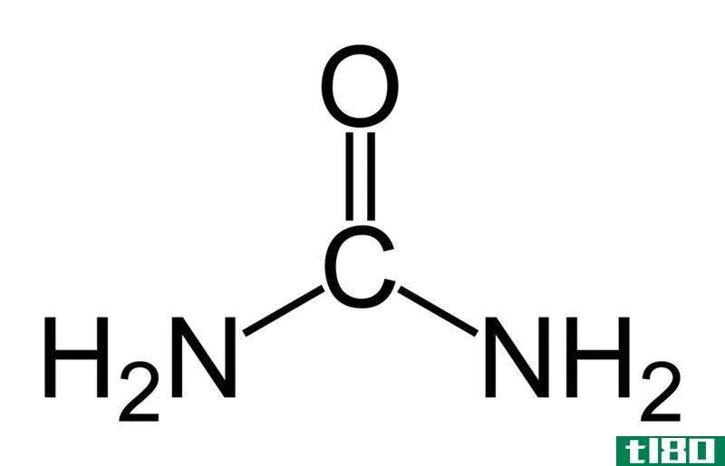 氨甲酰脲(ammonotelic ureotelic)和尿囊素(uricotelic)的区别