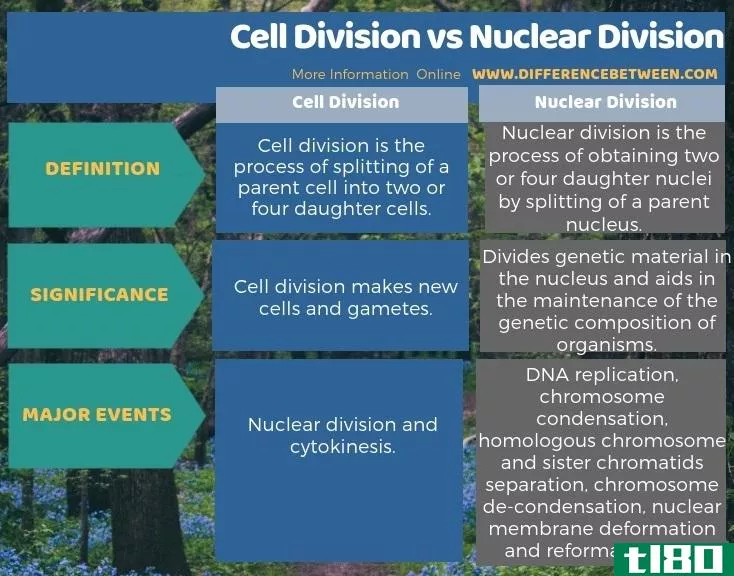 细胞分裂(cell division)和核部门(nuclear division)的区别