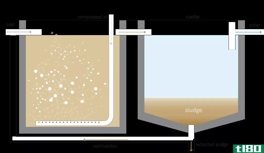 活性污泥(activated sludge)和滴滤器(trickling filter)的区别