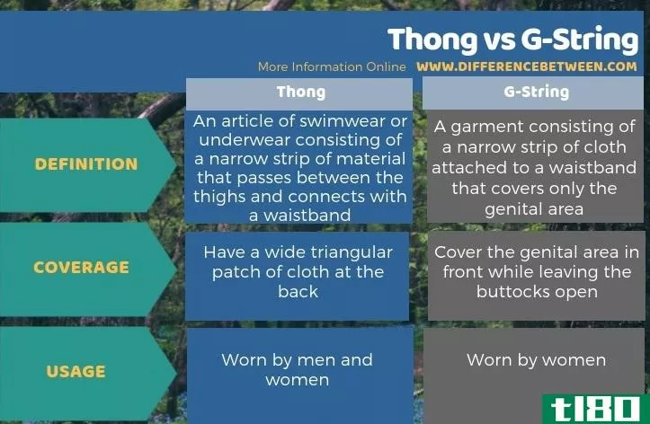 丁字裤(thong)和g型管柱(g-string)的区别