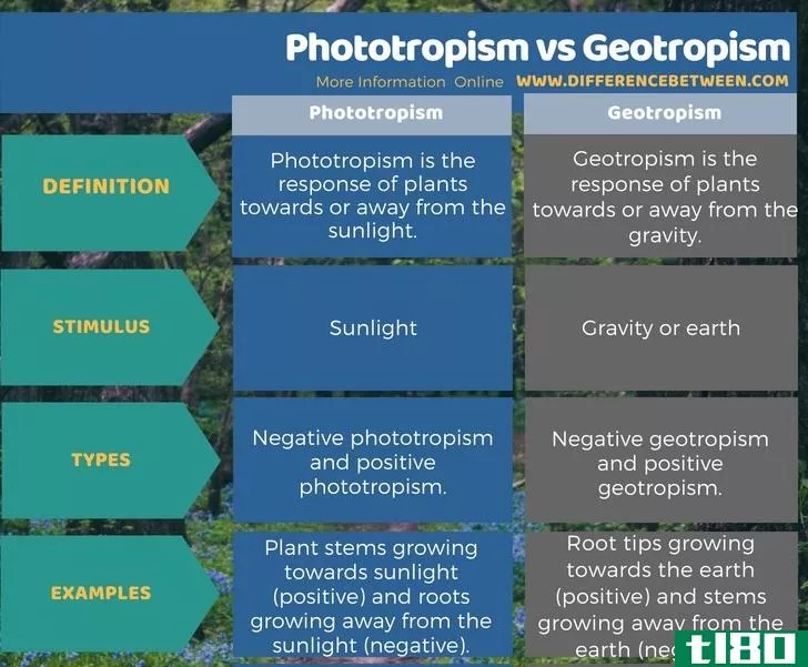 向光性(phototropi**)和向地性(geotropi**)的区别