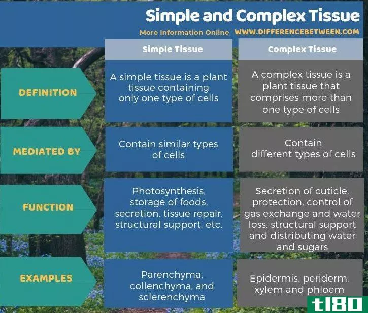 简单的(simple)和复合组织(complex tissue)的区别