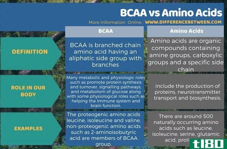 支链氨基酸(bcaa)和氨基酸(amino acids)的区别