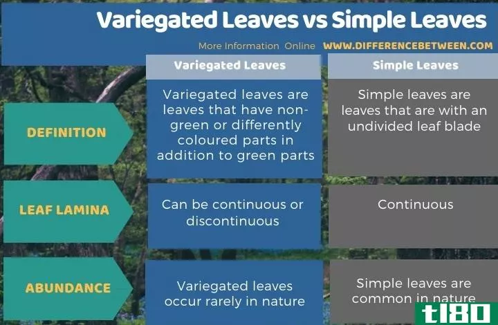 杂斑叶片(variegated leaves)和单叶(simple leaves)的区别