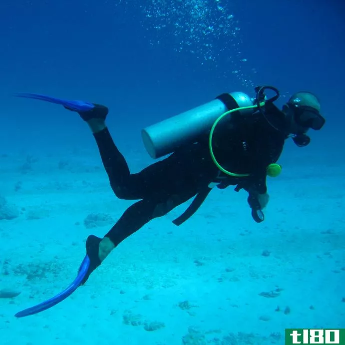 浮潜(snorkeling)和水肺潜水(scuba diving)的区别