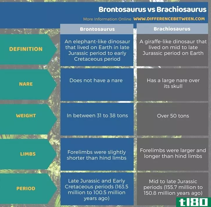 雷龙(brontosaurus)和腕龙(brachiosaurus)的区别