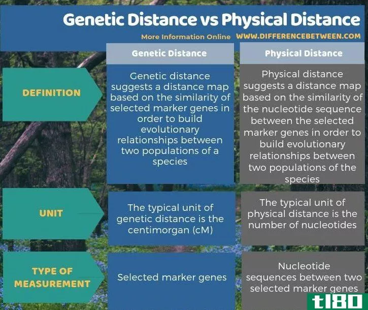 遗传距离(genetic distance)和物理距离(physical distance)的区别