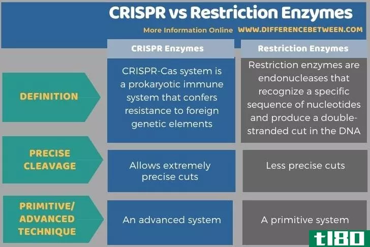 脆(crispr)和限制酶(restriction enzymes)的区别