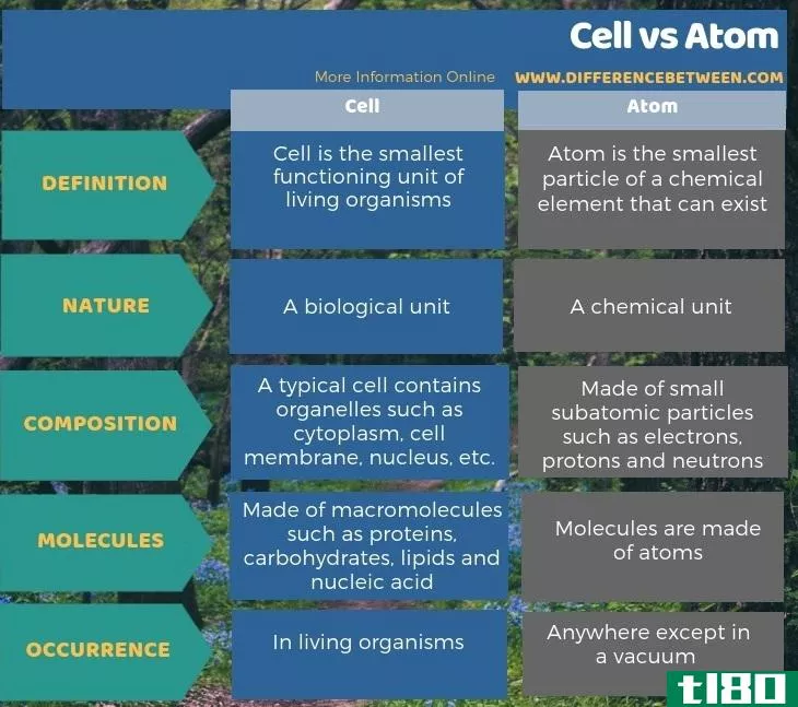 细胞(cell)和原子(atom)的区别