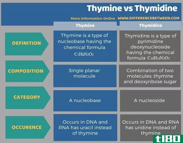 胸腺嘧啶(thymine)和胸苷(thymidine)的区别