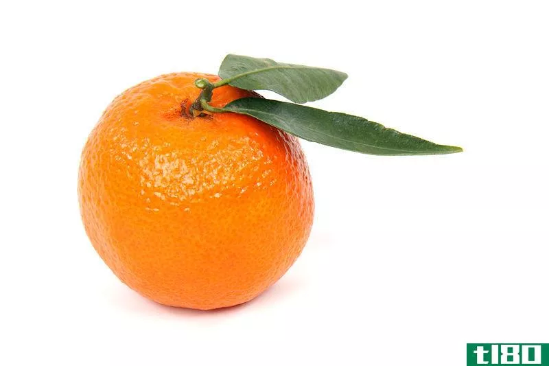 橙色(orange)和克莱门汀(clementine)的区别
