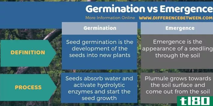 发芽(germination)和出现(emergence)的区别
