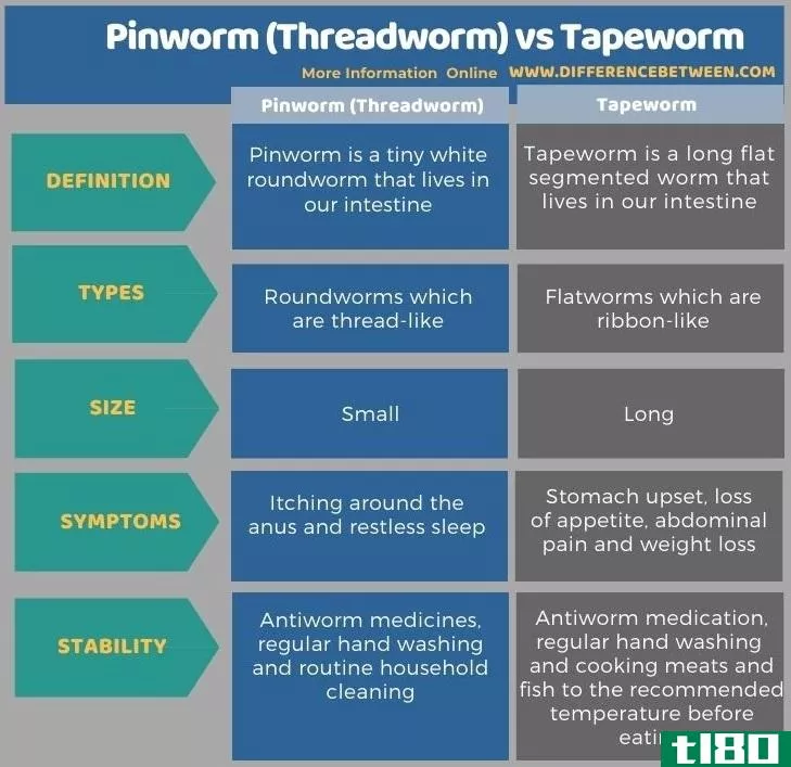 蛲虫(pinworm (threadworm))和绦虫(tapeworm)的区别