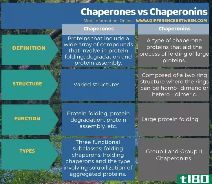 陪护(chaperones)和伴随蛋白(chaperonins)的区别