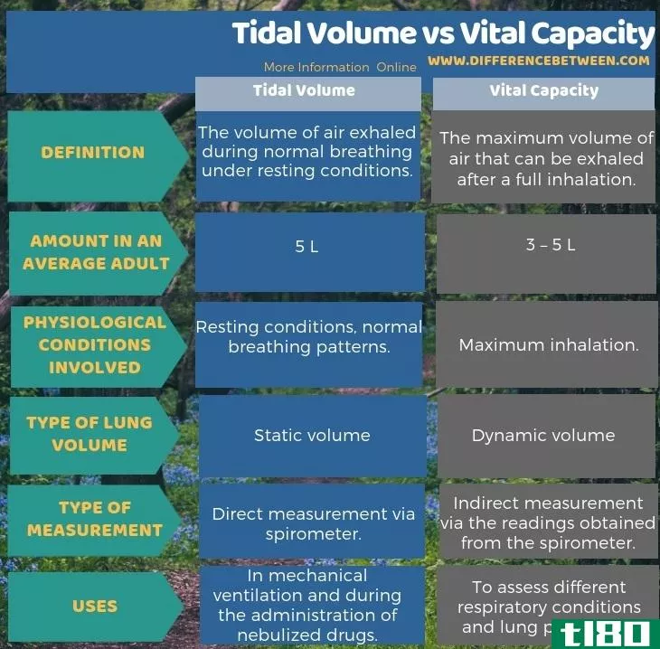 潮气量(tidal volume)和肺活量(vital capacity)的区别