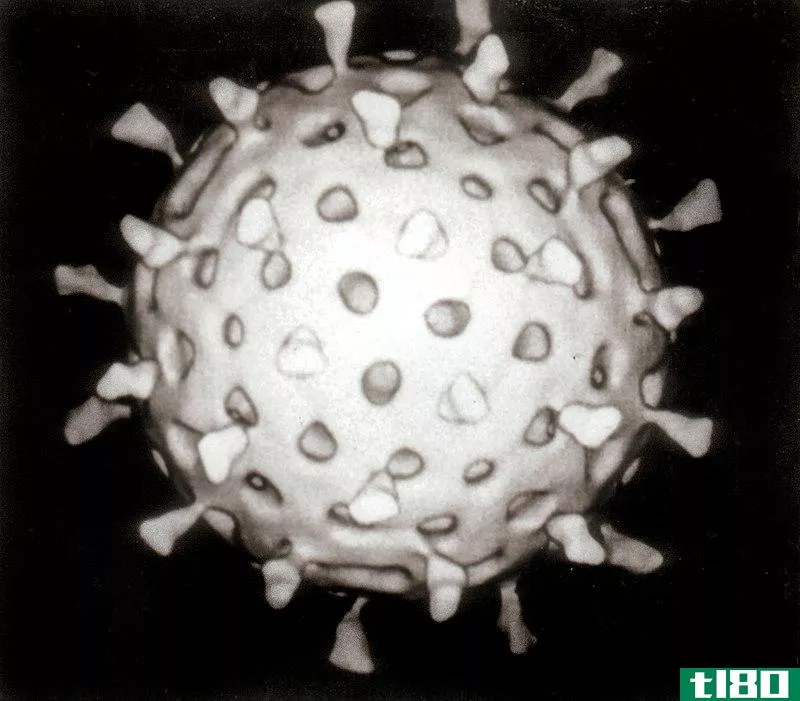 诺如病毒(norovirus)和轮状病毒(rotavirus)的区别