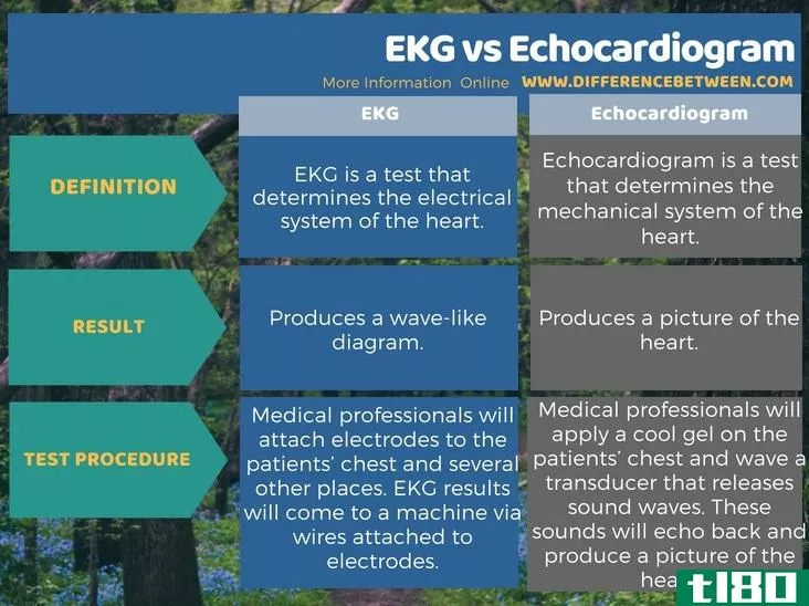 心电图(ekg)和超声心动图(echocardiogram)的区别