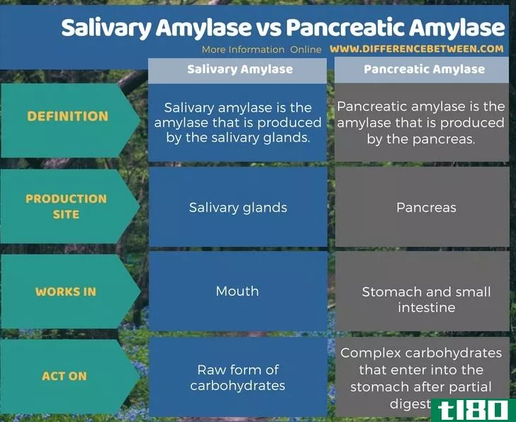 唾液淀粉酶(salivary amylase)和胰淀粉酶(pancreatic amylase)的区别
