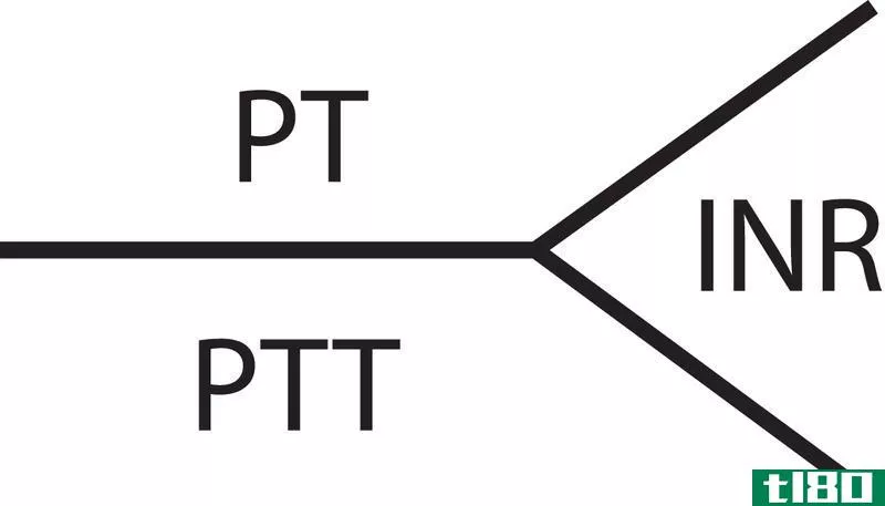 pt公司(pt)和ptt公司(ptt)的区别