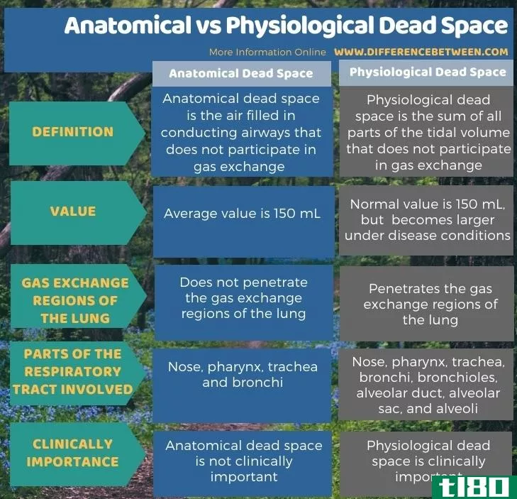 解剖学(anatomical)和生理死腔(physiological dead space)的区别