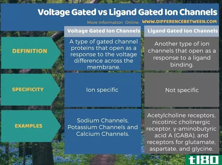 电压门控性(voltage gated)和配体门控离子通道(ligand gated ion channels)的区别