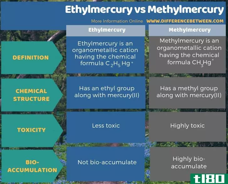 乙基汞(ethylmercury)和甲基汞(methylmercury)的区别
