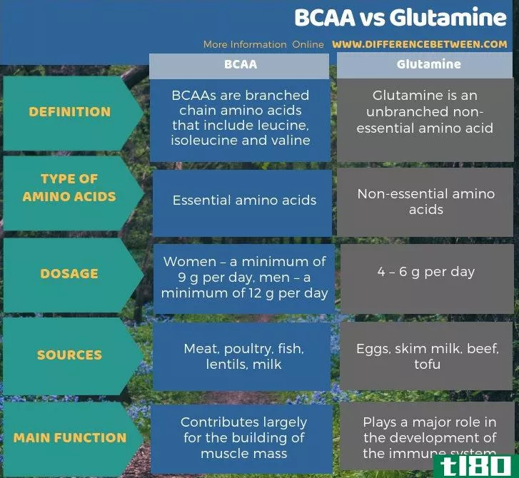 支链氨基酸(bcaa)和谷氨酰胺(glutamine)的区别