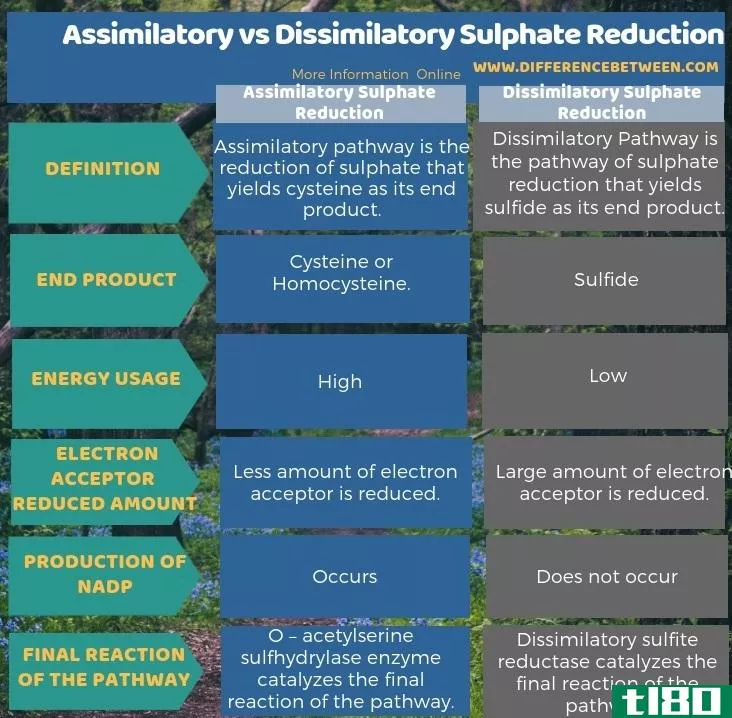 同化的(assimilatory)和异化硫酸盐还原(dissimilatory sulphate reduction)的区别