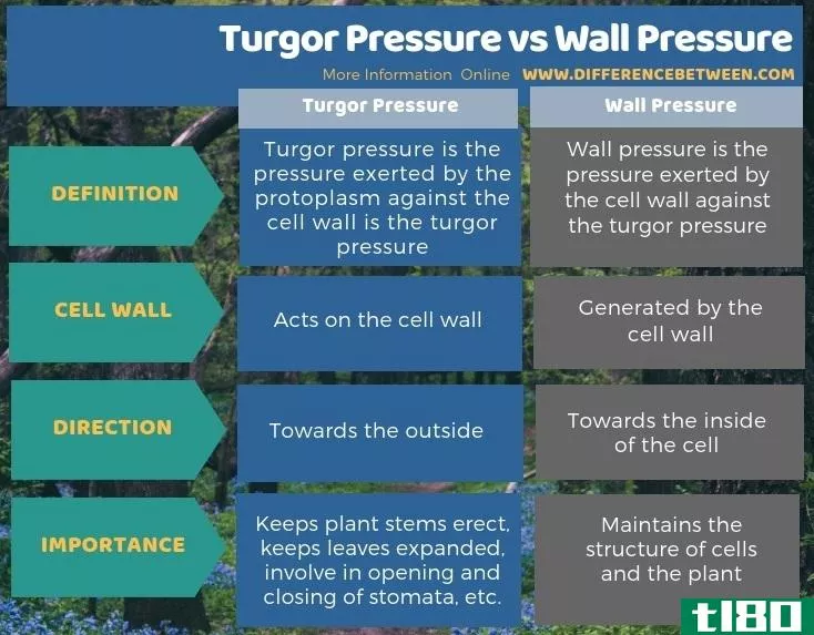 膨胀压力(turgor pressure)和壁面压力(wall pressure)的区别