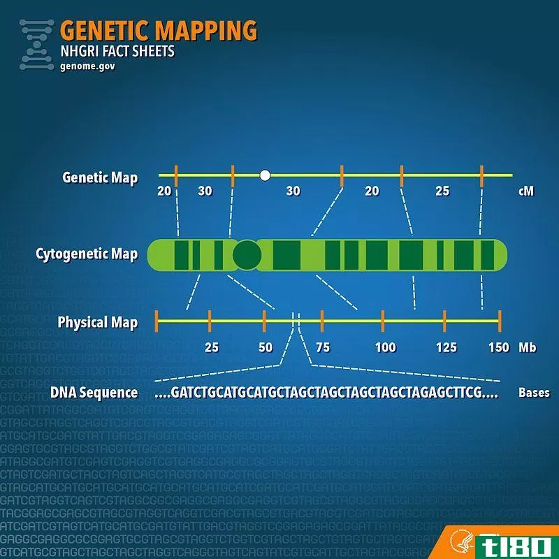 遗传图谱(genetic map)和物理地图(physical map)的区别