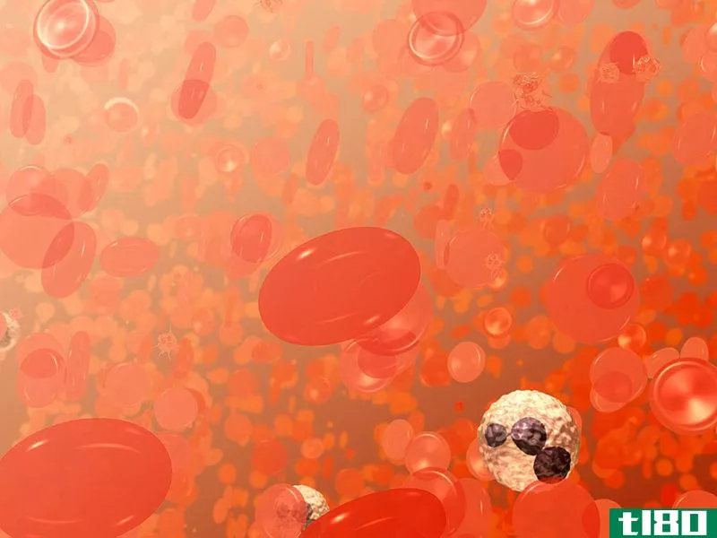 红细胞增多症(polycythemia)和真性红细胞增多症(polycythemia vera)的区别