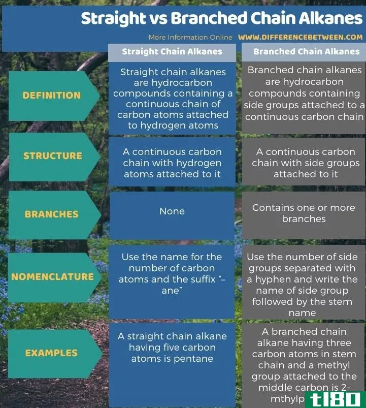 直的(straight)和支链烷烃(branched chain alkanes)的区别