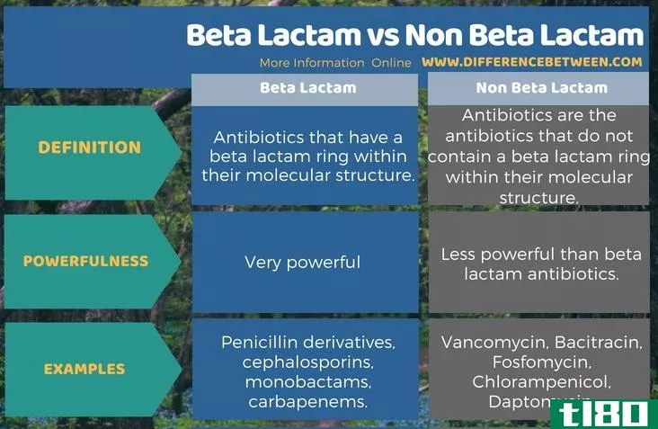 β-内酰胺(beta lactam)和非β-内酰胺(non beta lactam)的区别