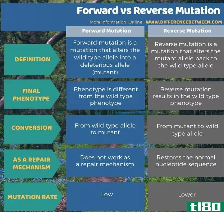 向前地(forward)和反向突变(reverse mutation)的区别