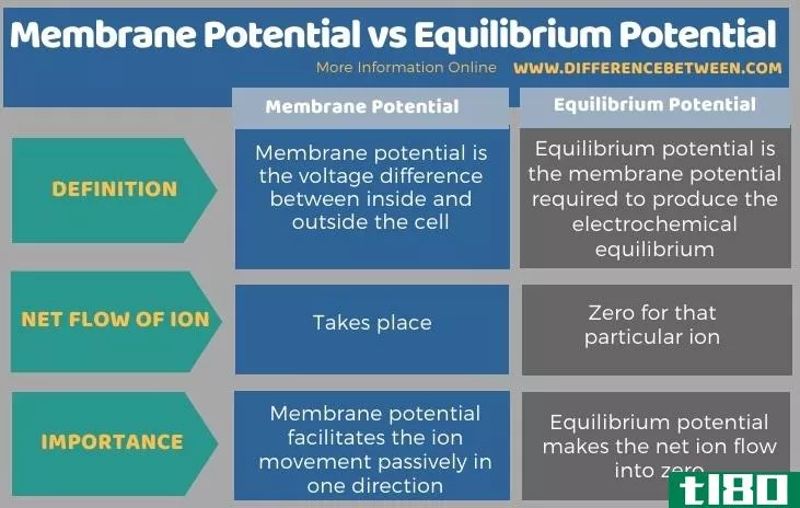 膜电位(membrane potential)和平衡势(equilibrium potential)的区别