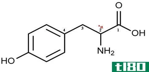 l-酪氨酸(l-tyrosine)和酪氨酸(tyrosine)的区别