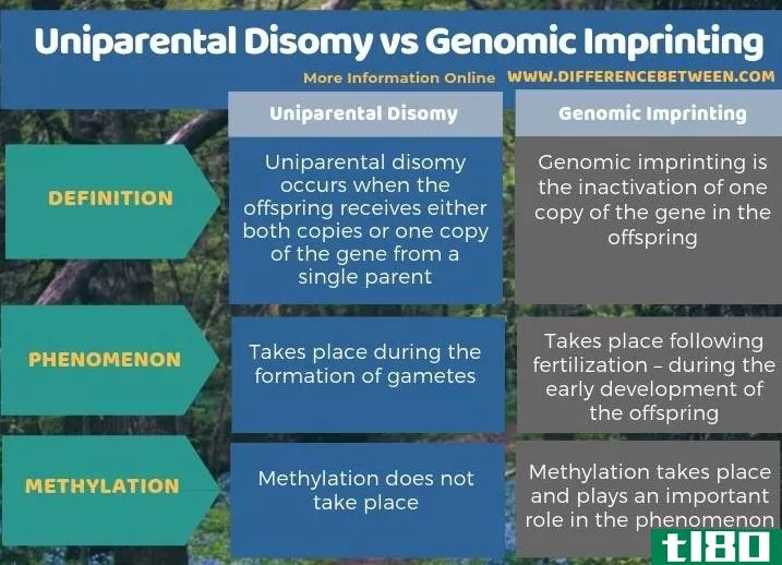 单亲二体(uniparental disomy)和基因组印记(genomic imprinting)的区别