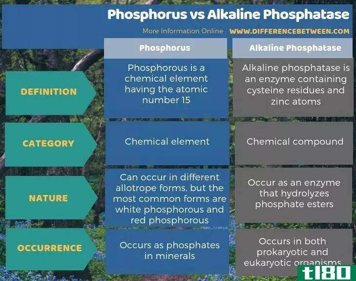 磷(phosphorus)和碱性磷酸酶(alkaline phosphatase)的区别
