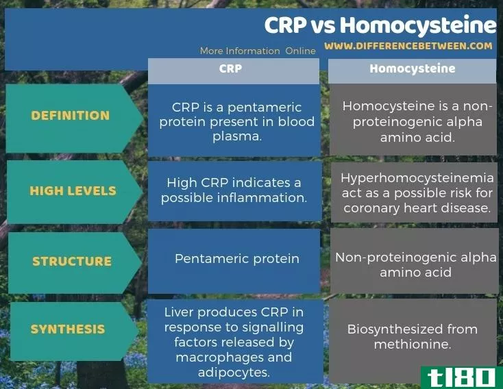 crp(crp)和同型半胱氨酸(homocysteine)的区别