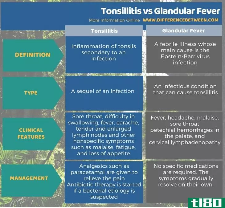 扁桃体炎(t***illitis)和腺热(glandular fever)的区别