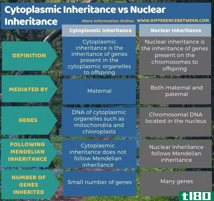 细胞质遗传(cytopla**ic inheritance)和核遗传(nuclear inheritance)的区别