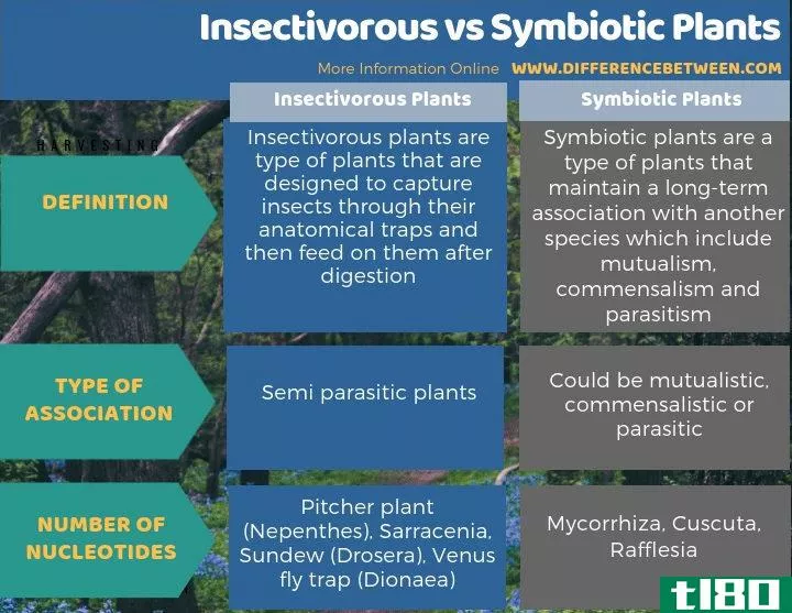 食虫的(insectivorous)和共生植物(symbiotic plants)的区别
