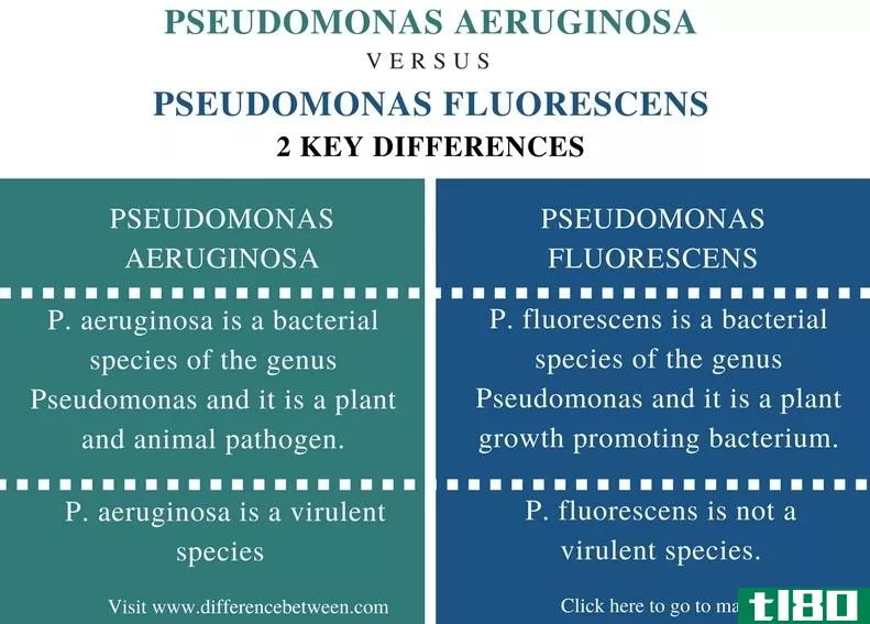 铜绿假单胞菌(pseudomonas aeruginosa)和荧光假单胞菌(pseudomonas fluorescens)的区别