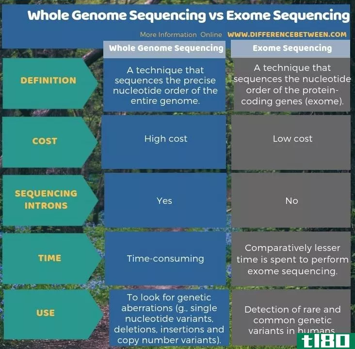 全基因组测序(whole genome sequencing)和外显子组测序(exome sequencing)的区别