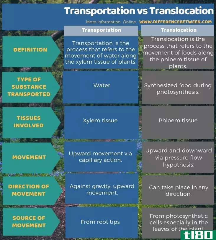 运输(transportation)和易位(translocation)的区别